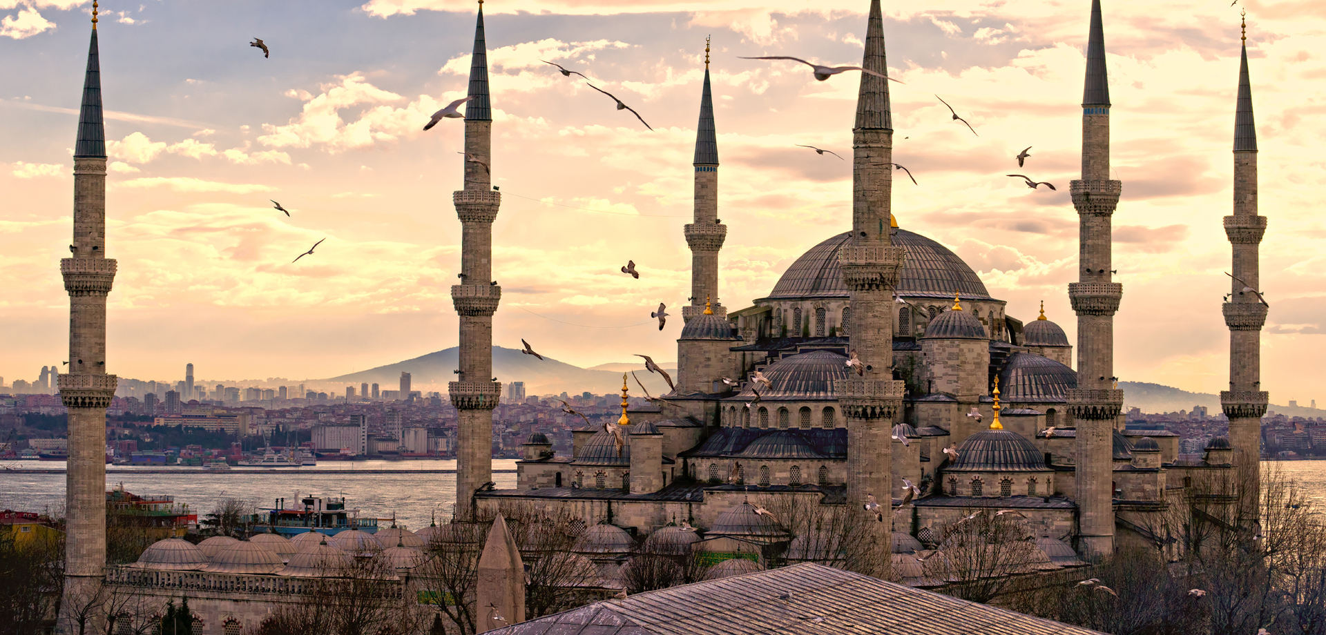 Slider Image 1